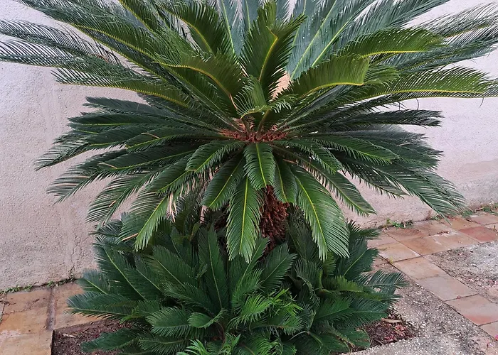 住宿加早餐酒店 U Bagghiu *